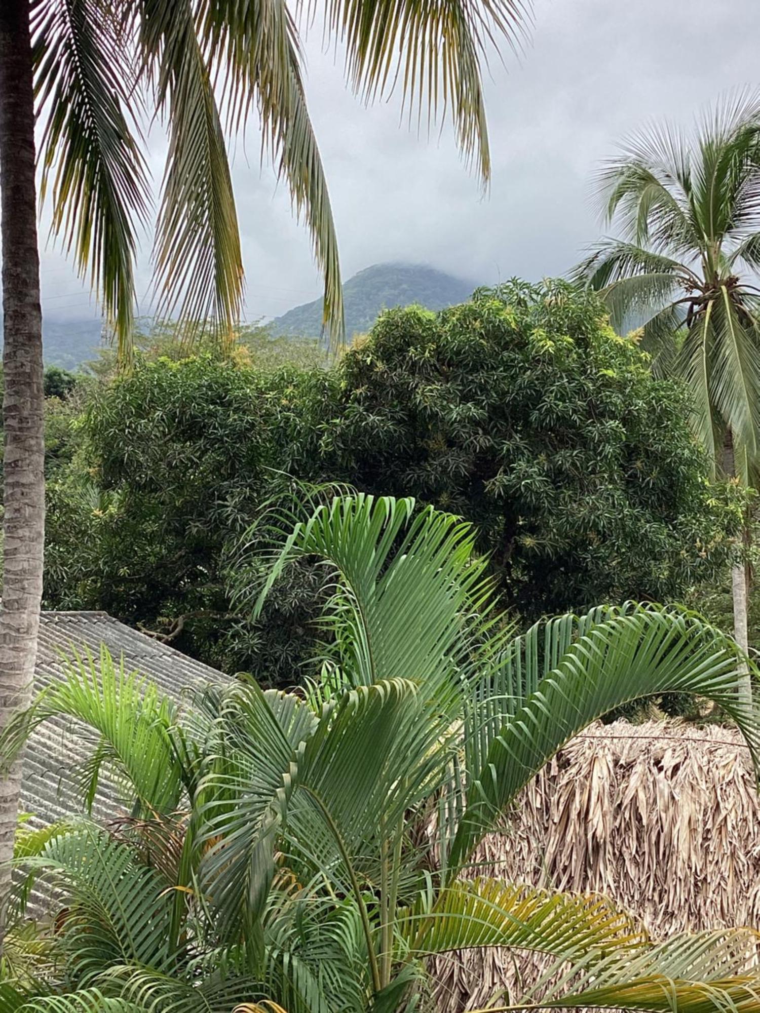 Hostal Antawara Tayrona El Zaino Luaran gambar